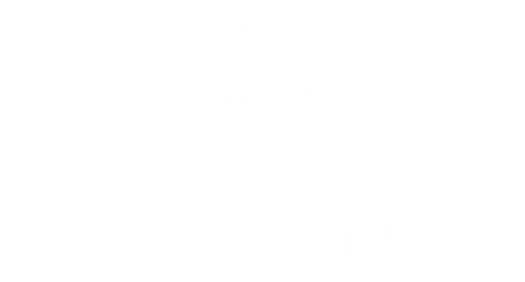 MdV Logo Schriftzug weiss transparent